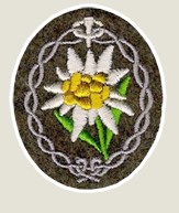 coat of arms of the 2. Gebirgs-Division. 